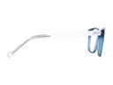 iGreen V-4.120