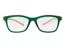 iGreen V-3.3