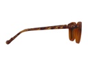 iGreen PL-009