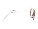 IGV-4_912_291_s.webp