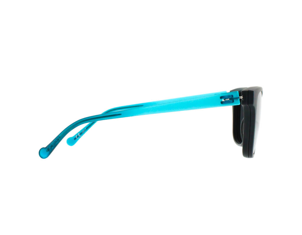 iGreen PL-012