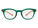 iGreen V-3.1